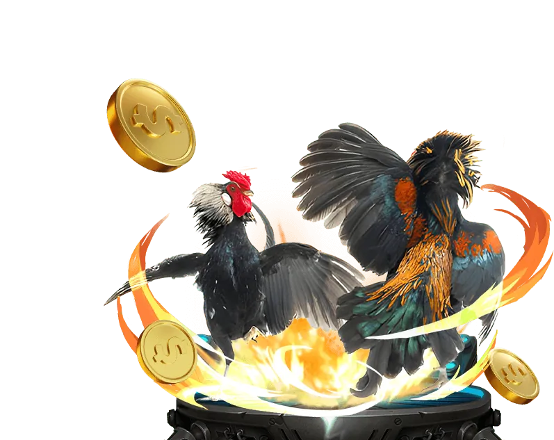 Tổng quan các dịch vụ 69vn